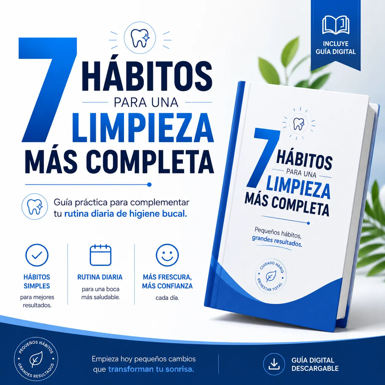 Guía 7 Hábitos para una Limpieza Más Completa